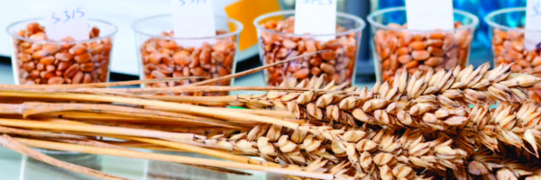 Naamloos 2024 10 07T132541.388